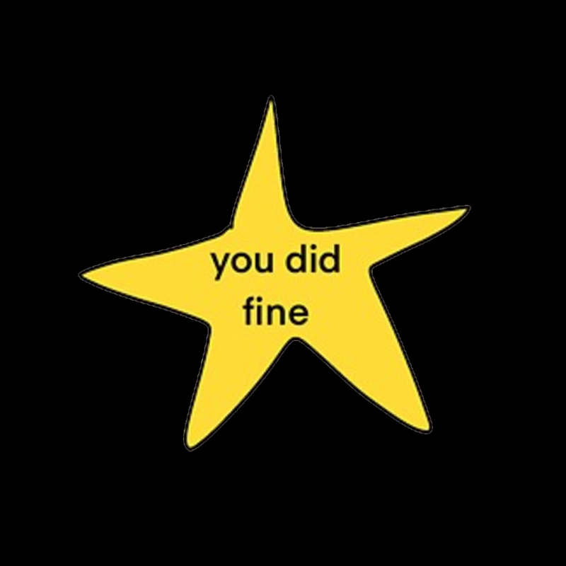 You Did Fine Geek T-Shirt