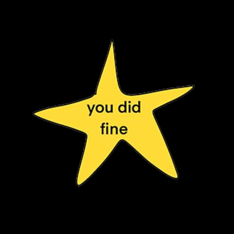 You Did Fine Geek T-Shirt