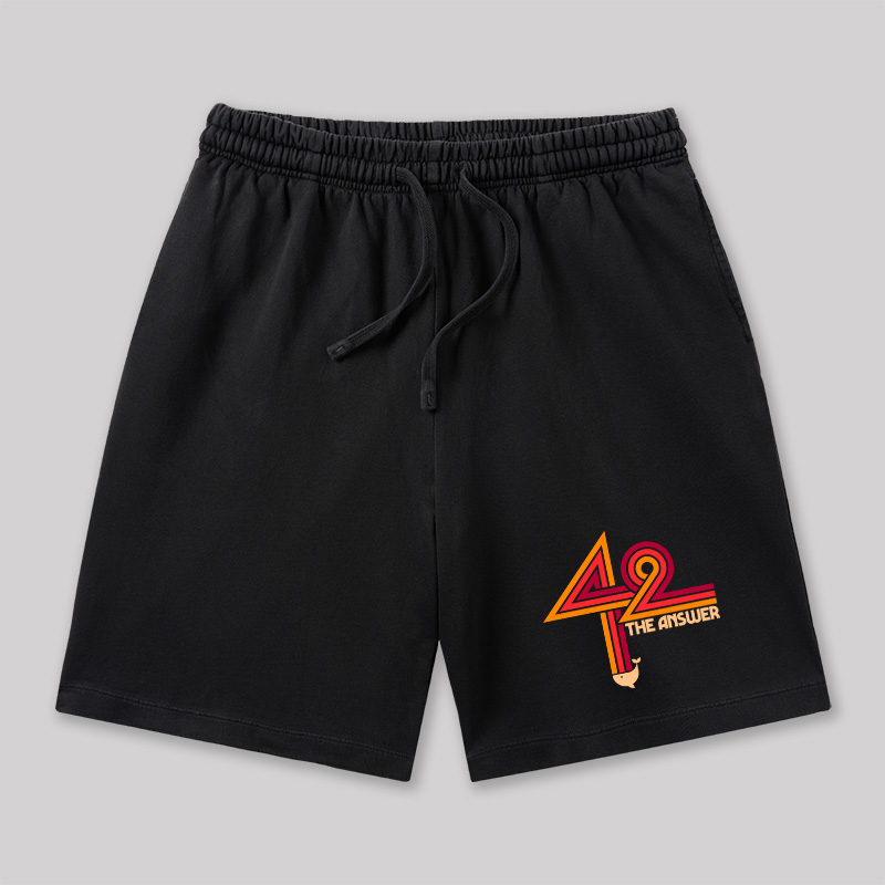 42 The Ultimate Answer Geeky Washed Shorts