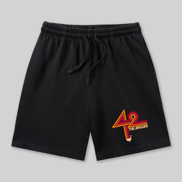 42 The Ultimate Answer Geeky Washed Shorts