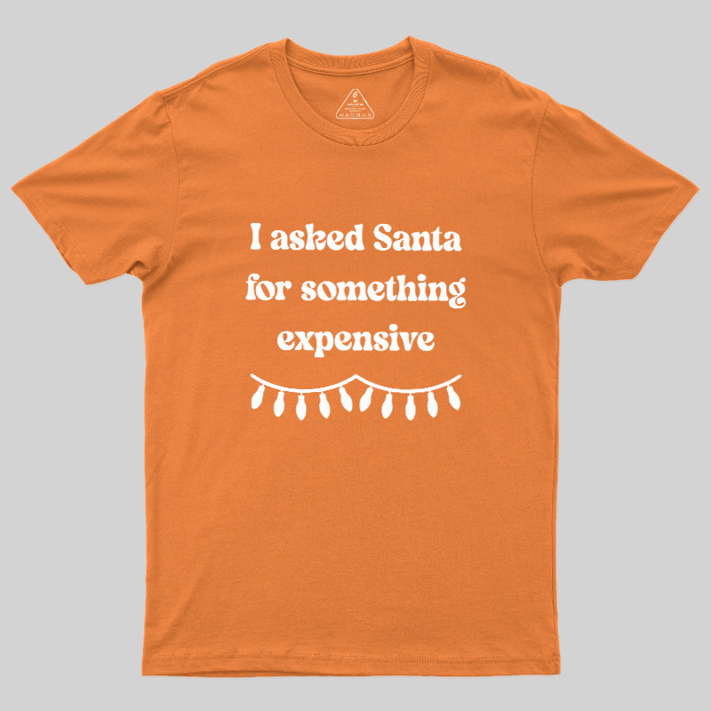 I Asked Santa For Something Expensive Geek T-Shirt