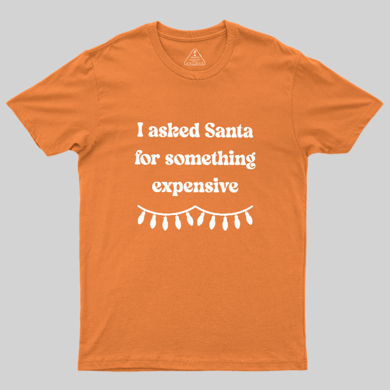 I Asked Santa For Something Expensive Geek T-Shirt