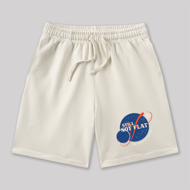 Still Not Flat Geeky Washed Shorts