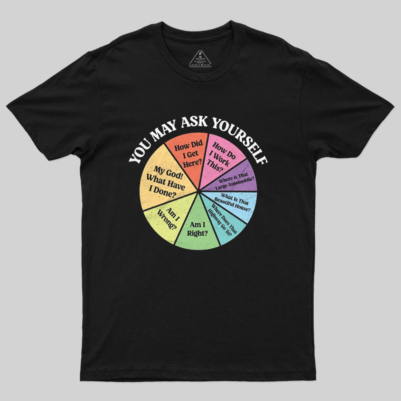 You May Ask Yourself Geek T-Shirt