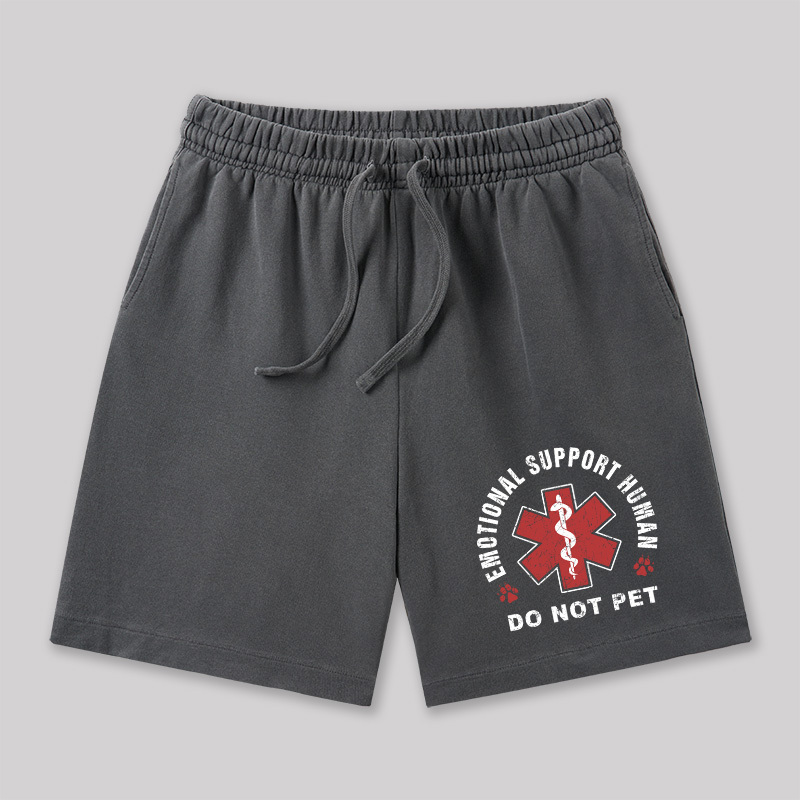 Emotional Support Geeky Washed Shorts