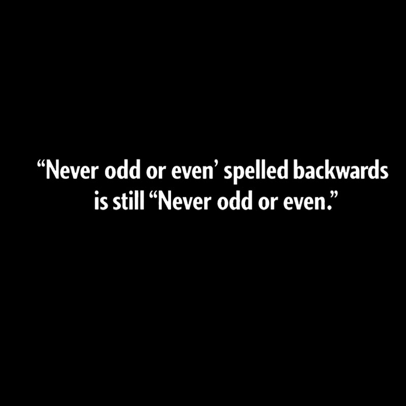 Never Odd or Even Geek T-Shirt