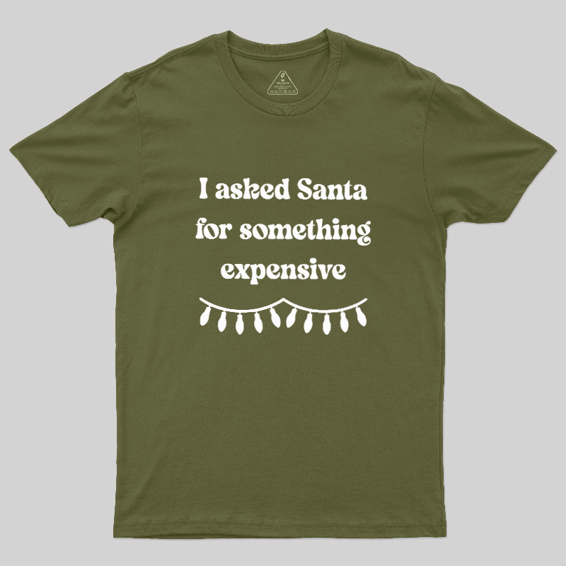 I Asked Santa For Something Expensive Geek T-Shirt