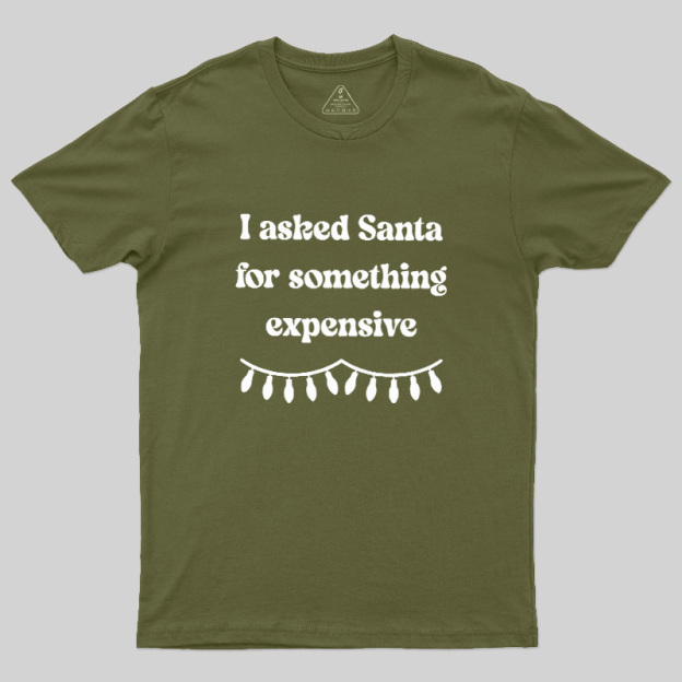 I Asked Santa For Something Expensive Geek T-Shirt