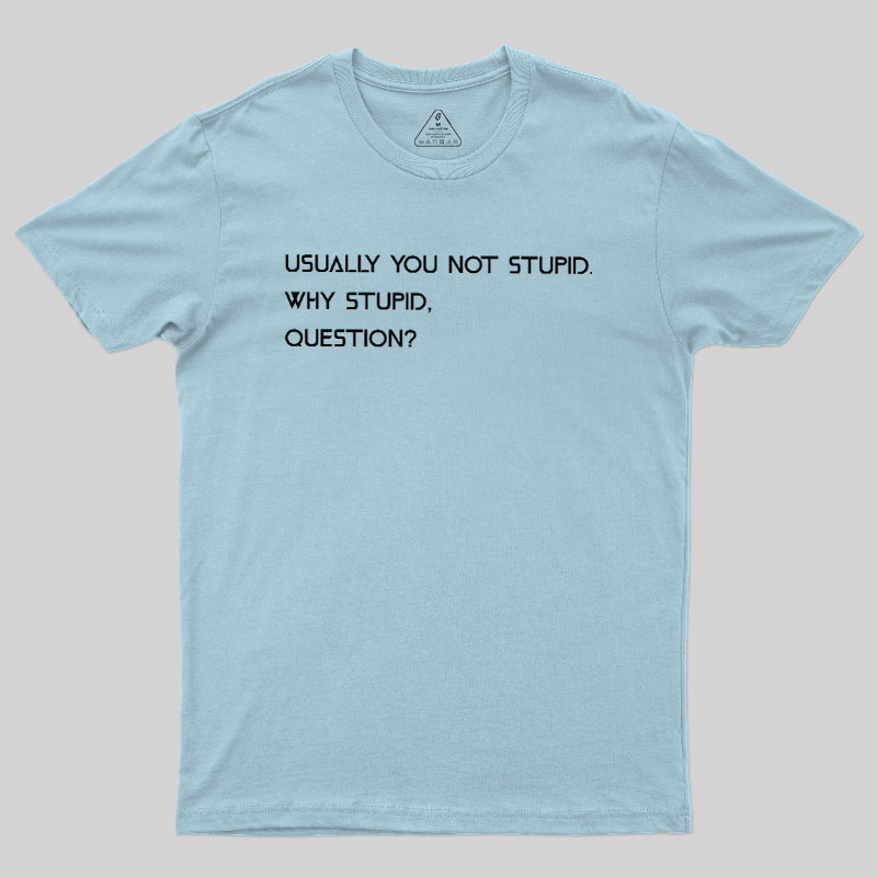 Why Stupid Question Geek T-Shirt