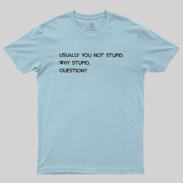 Why Stupid Question Geek T-Shirt