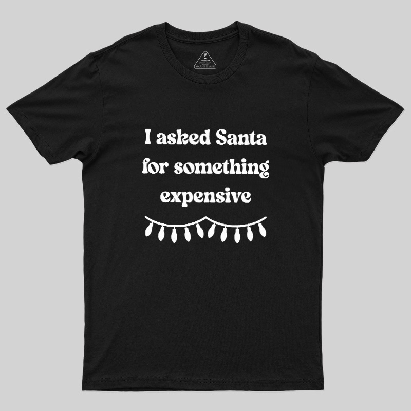 I Asked Santa For Something Expensive Geek T-Shirt