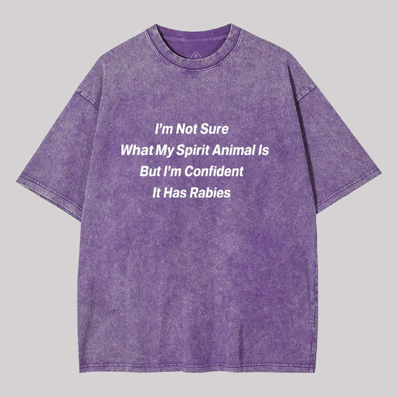 Im Not Sure What My Spirit Animal Is Geek Washed T-shirt