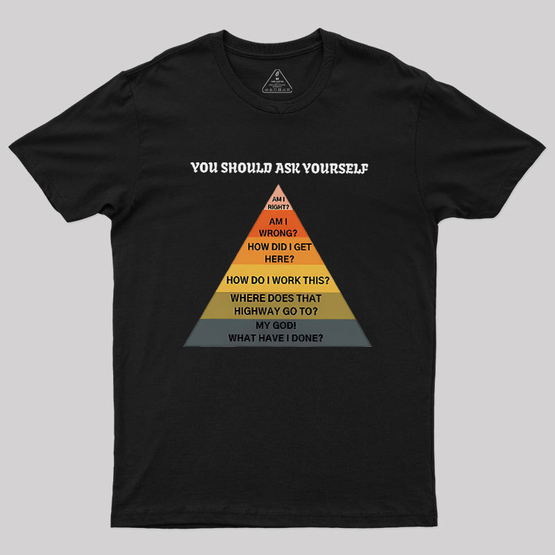 You Should Ask Yourself Geek T-Shirt
