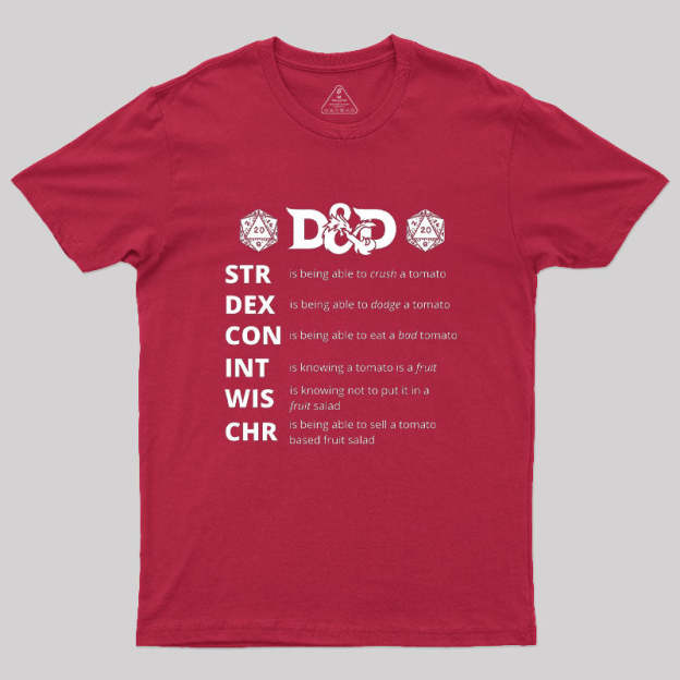 Dungeons And Dragons Gift Geek T-Shirt