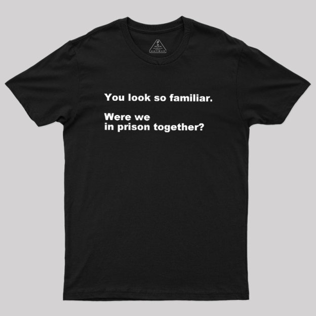 Were We in Prison Together Geek T-Shirt