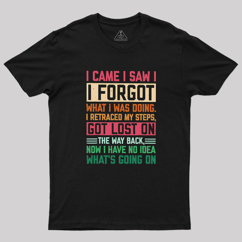 I Came I Saw I Forgot What I Was Doing Geek T-Shirt