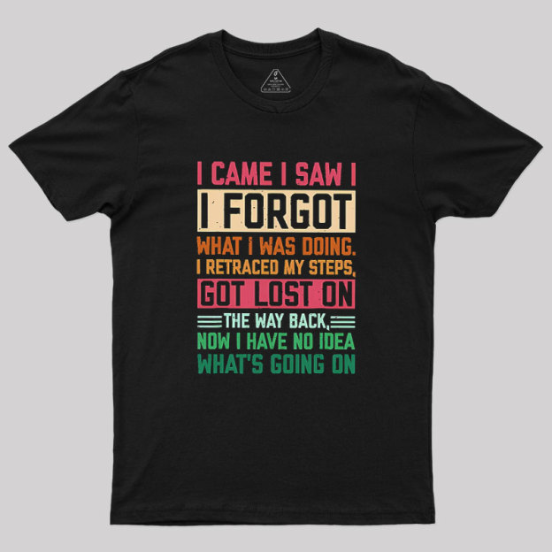 I Came I Saw I Forgot What I Was Doing Geek T-Shirt