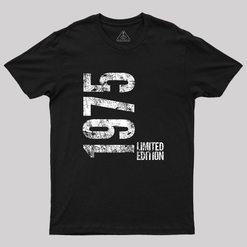 Years Old Vintage 1975 Geek T-Shirt