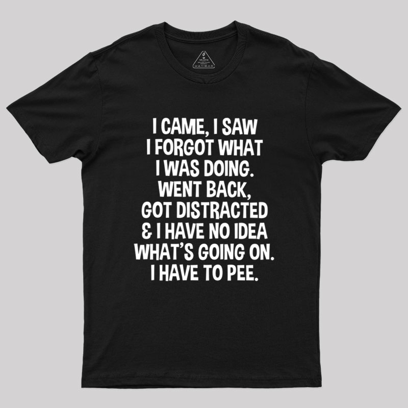 I Came I Saw I Forgot What I Was Doing Geek T-Shirt