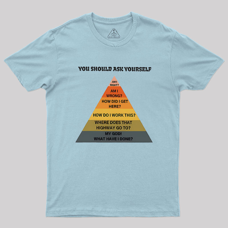 You Should Ask Yourself Geek T-Shirt