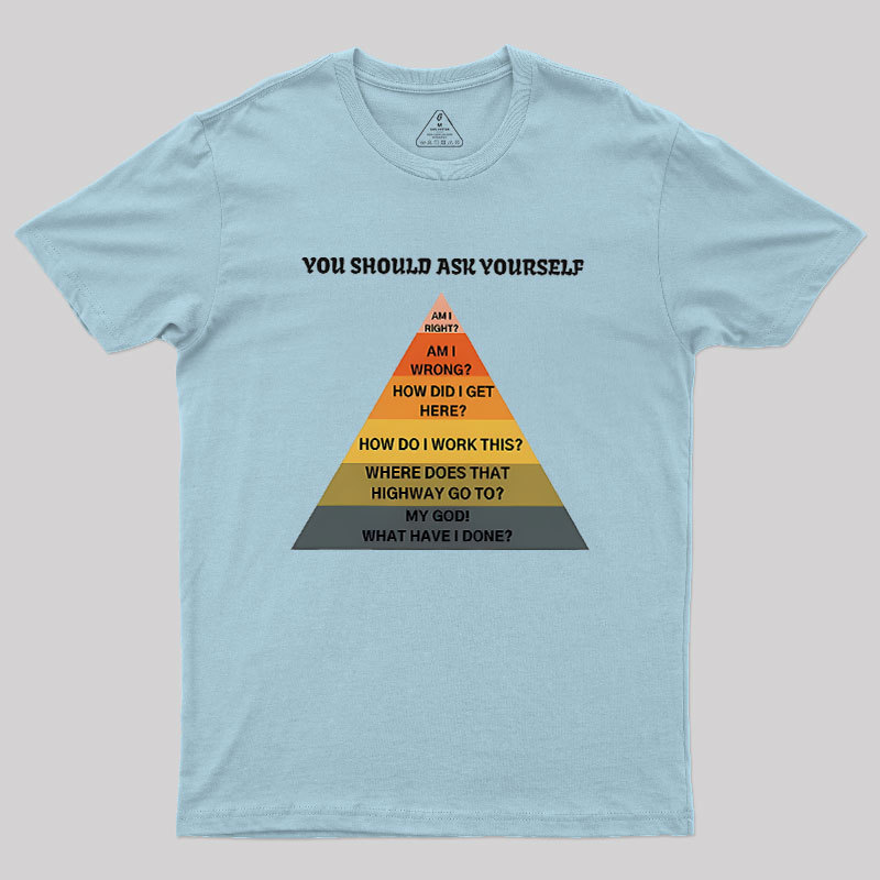 You Should Ask Yourself Geek T-Shirt