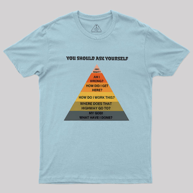 You Should Ask Yourself Geek T-Shirt