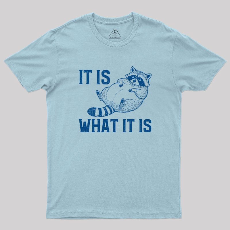 This Is What It Is Geek T-Shirt