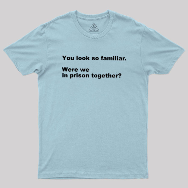 Were We in Prison Together Geek T-Shirt