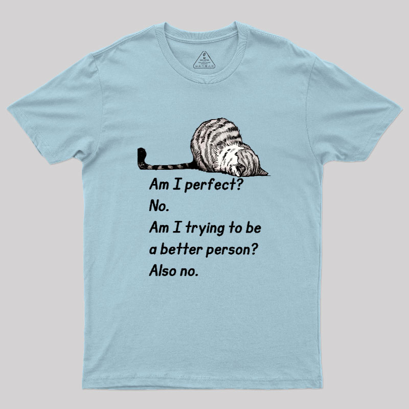 Am I Perfect No Geek T-Shirt