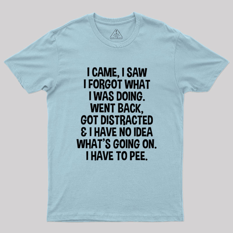 I Came I Saw I Forgot What I Was Doing Geek T-Shirt