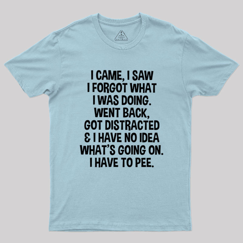 I Came I Saw I Forgot What I Was Doing Geek T-Shirt