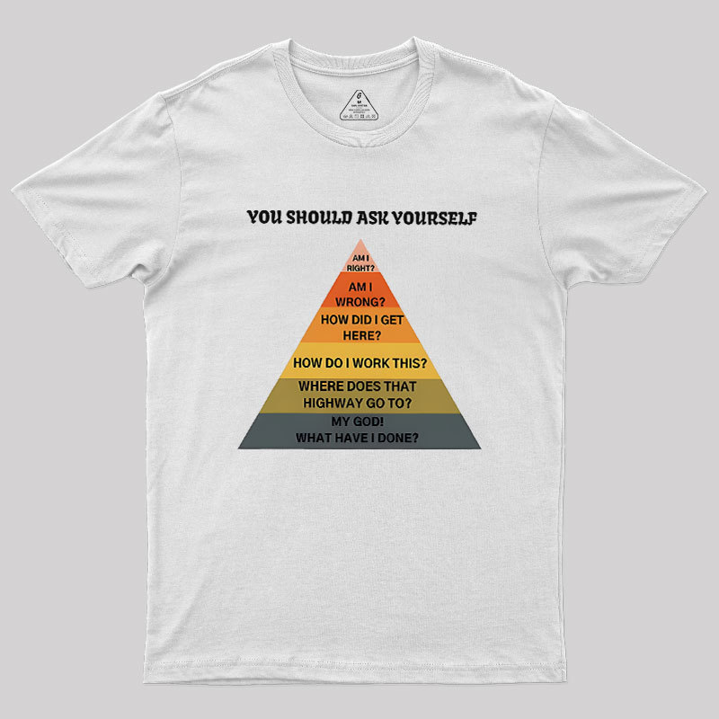 You Should Ask Yourself Geek T-Shirt