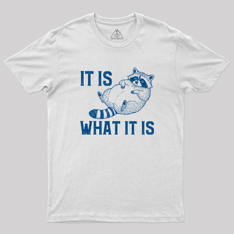 This Is What It Is Geek T-Shirt