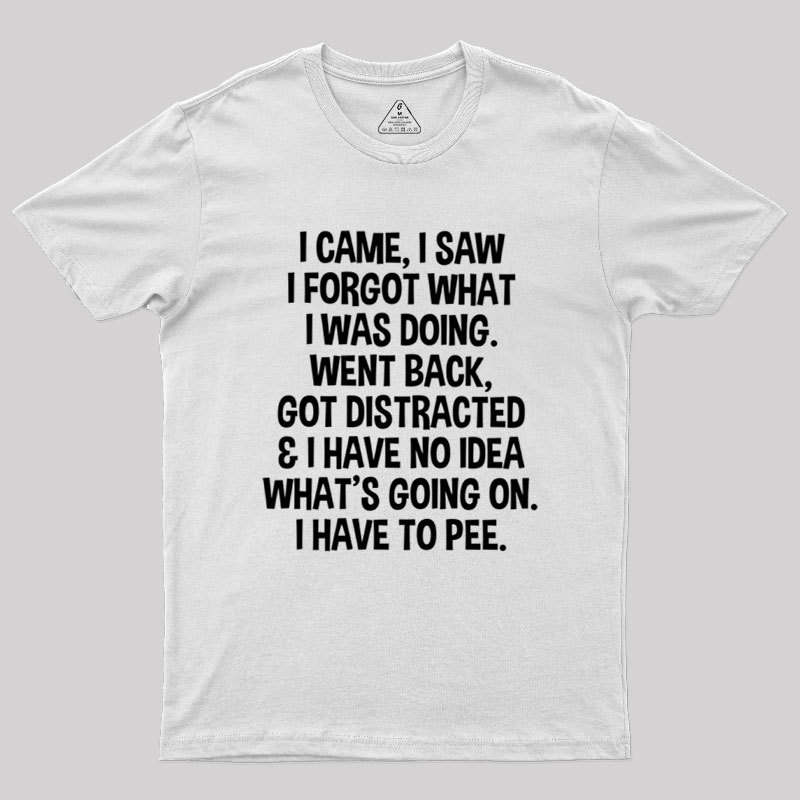 I Came I Saw I Forgot What I Was Doing Geek T-Shirt