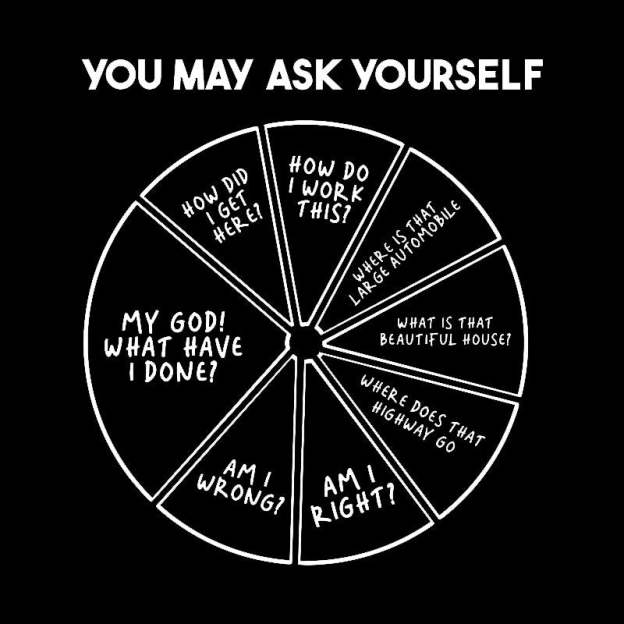 You May Ask Yourself Geek T-Shirt
