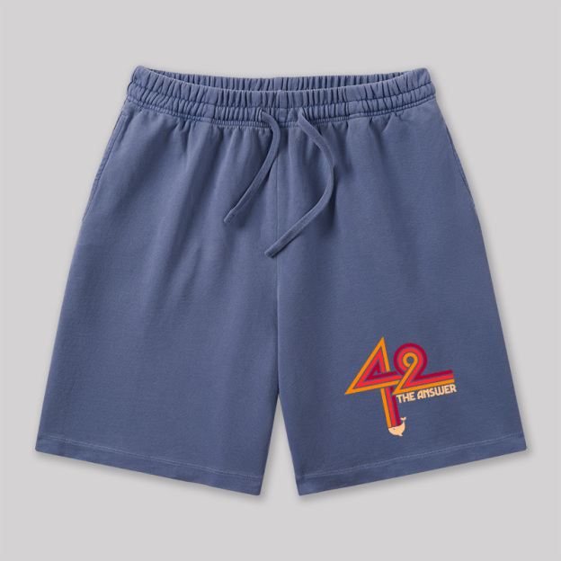 42 The Ultimate Answer Geeky Washed Shorts