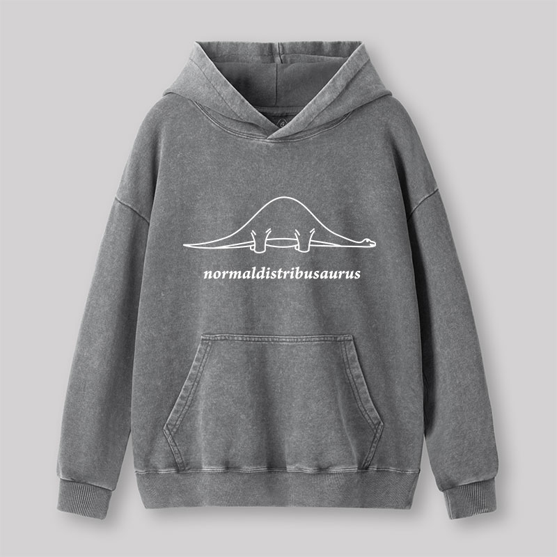 Normal Distribution Dinosaur Washed Hoodie
