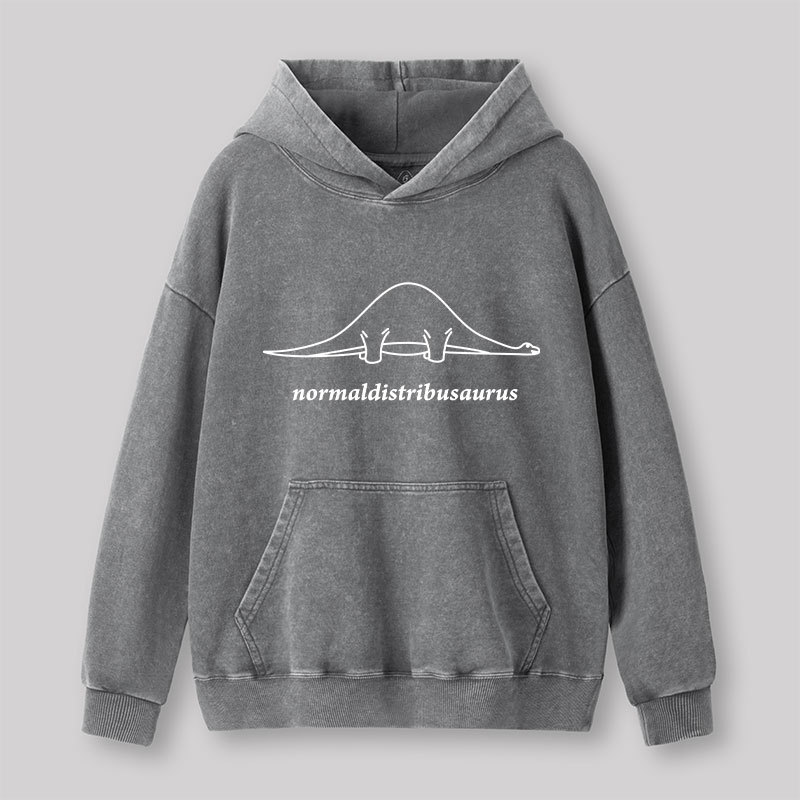 Normal Distribution Dinosaur Washed Hoodie