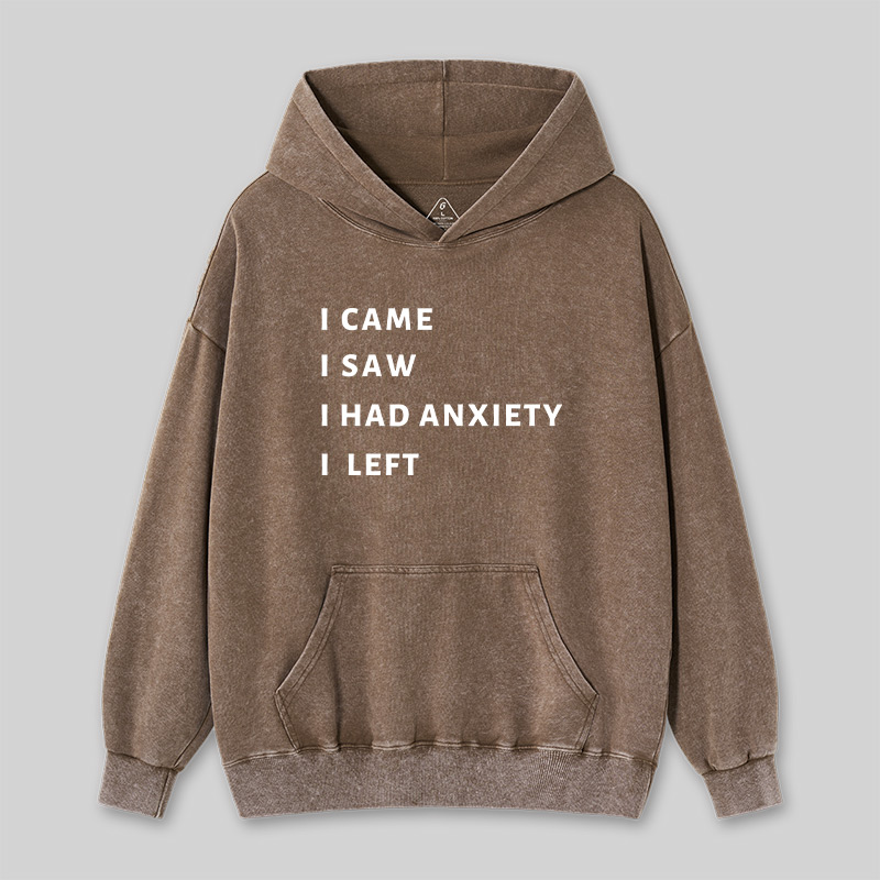 I Came I Saw Washed Hoodie