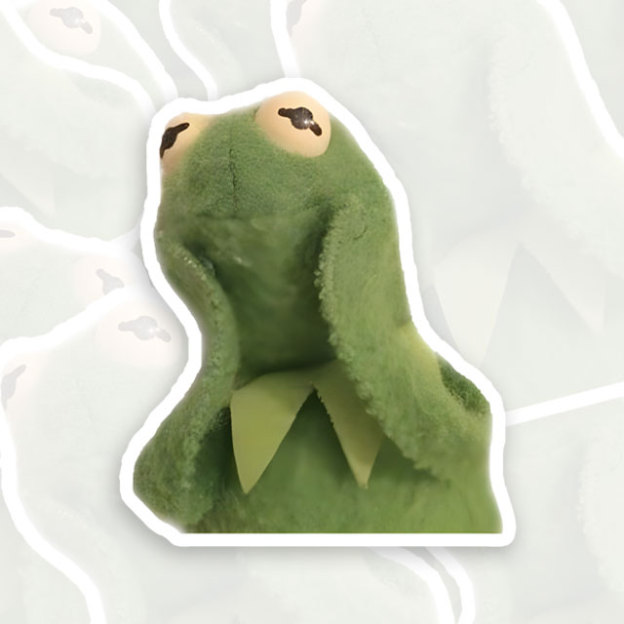 Enjoy Frog Funny Geek Sticker