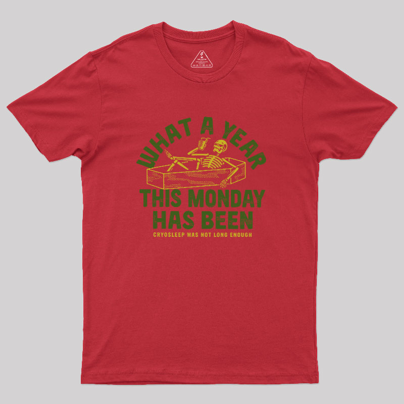 What A Year This Monday Has Been Geek T-Shirt