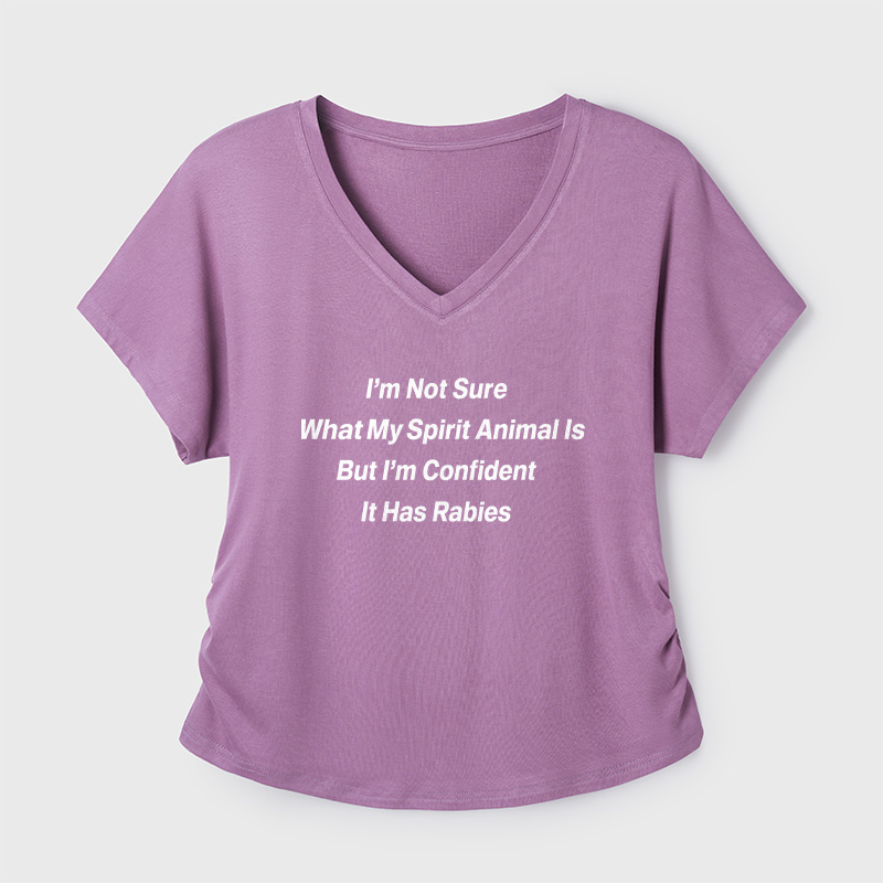 I'm Not Sure What My Spirit Geek Dolman Sleeve V-Neck Shirt