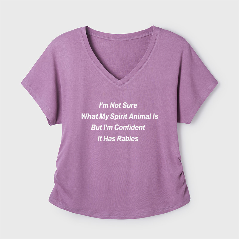 I'm Not Sure What My Spirit Geek Dolman Sleeve V-Neck Shirt
