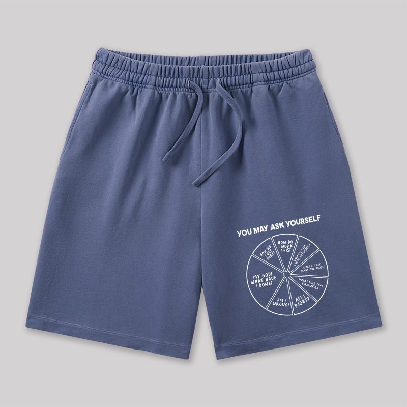 You May Ask Yourself Geeky Washed Shorts