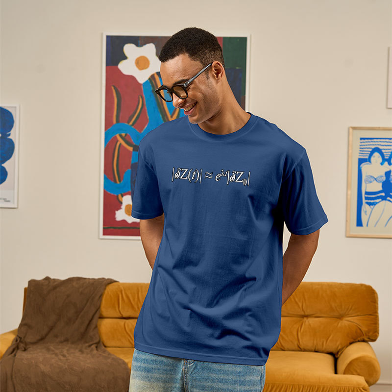 Chaos Theory Geek T-Shirt