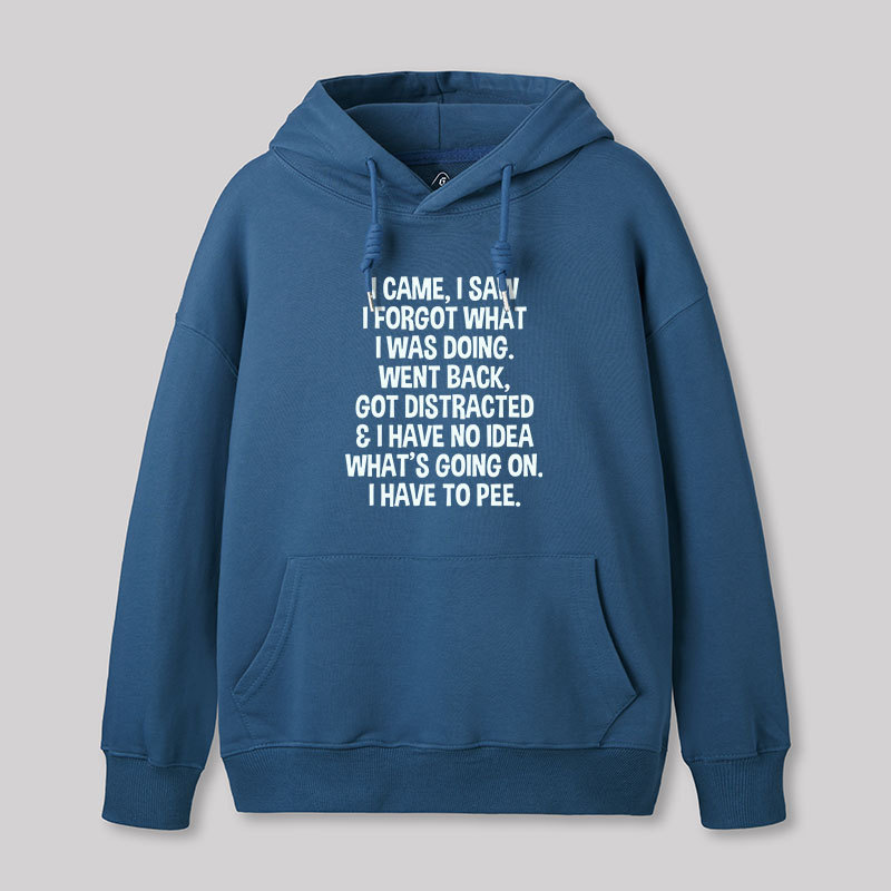 I Came I Saw I Forgot What I Was Doing Geek Hoodie