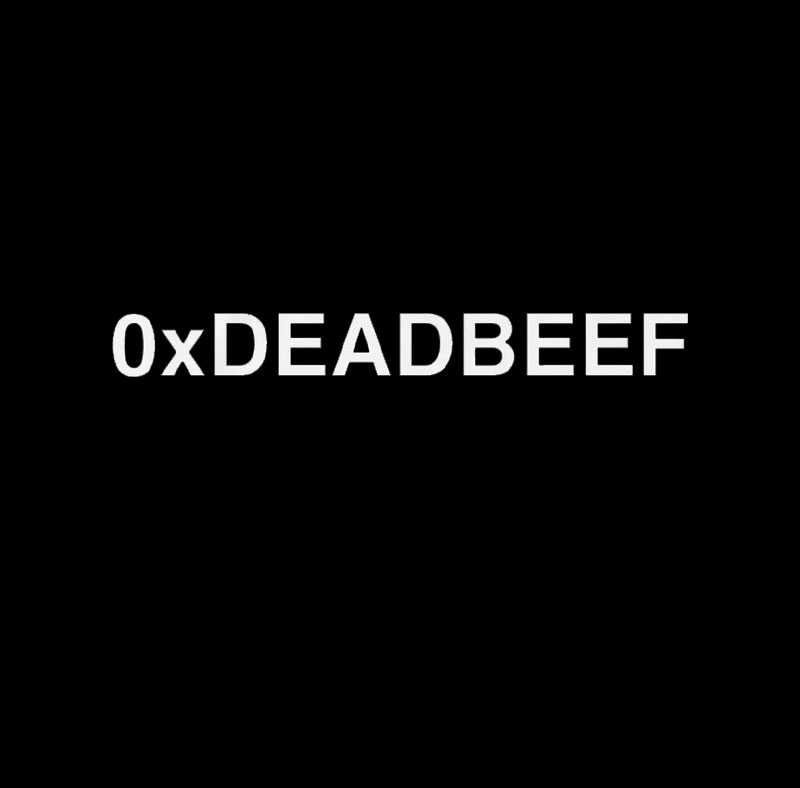 0xDEADBEEF Geek T-Shirt