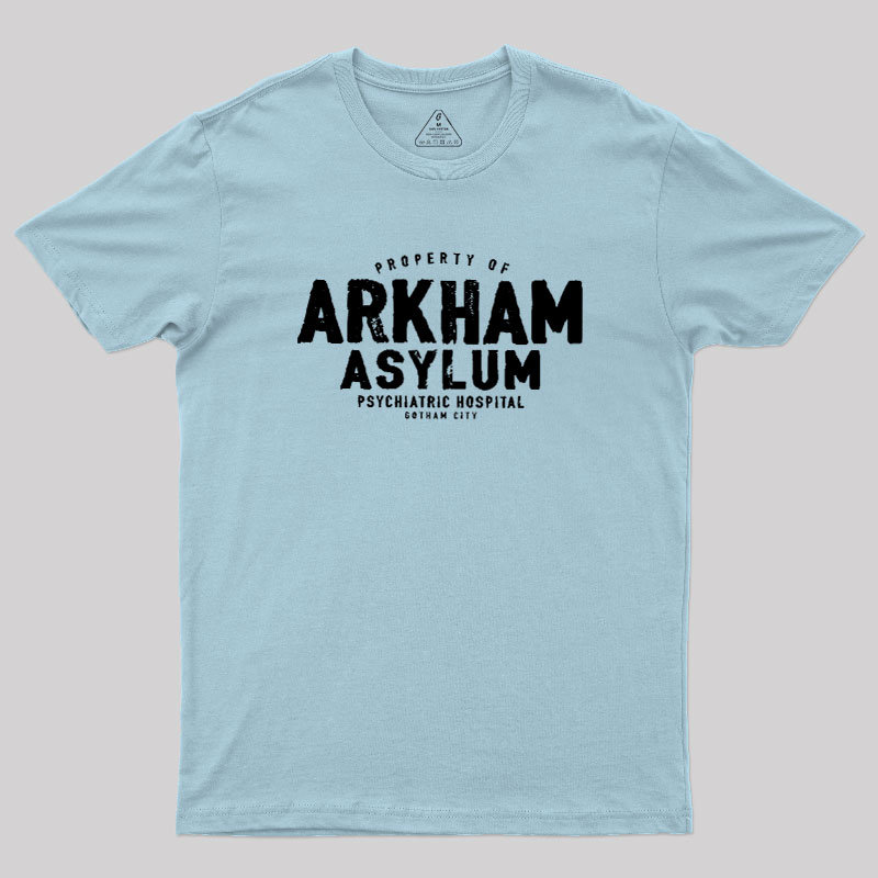 Arkham Asylum Geek T-Shirt