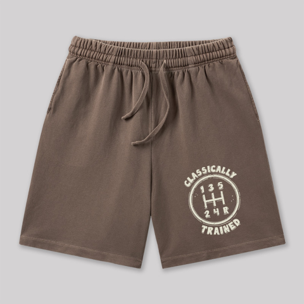 Classically Trained Geeky Washed Shorts