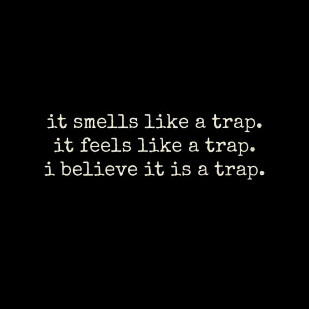 The Obvious Trap Geek T-Shirt